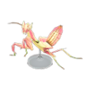 orchid mantis model