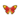 Red Jungle Butterfly PC Icon.png