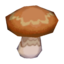 elegant mushroom