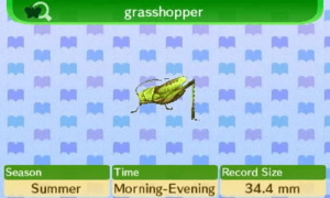 NL Encyclopedia Grasshopper.png