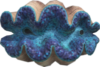 Artwork of gigas giant clam