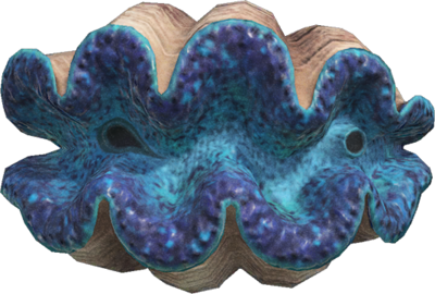 Gigas giant clam - Animal Crossing Wiki - Nookipedia