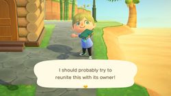 Lost item - Animal Crossing Wiki - Nookipedia