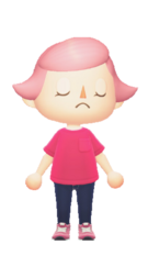 NH Player Disagreement.png