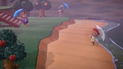 Nintendo Music ACNH 5 00 PM - Rainy.jpg