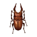 Saw Stag Beetle CF Model.png