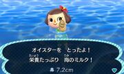 Caught Oyster NL JP.jpg