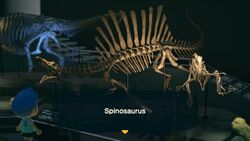 NH Spinosaurus Museum.jpg