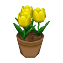 yellow tulips