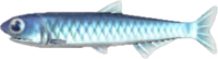 Anchovy (Fish) NH.png