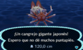 Caught Spider Crab NL.png