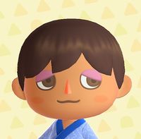 Hairstyle - Animal Crossing Wiki - Nookipedia