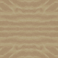 Texture of Saharah's desert