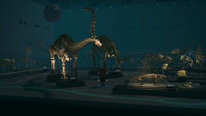NH Museum Fossil Exhibit.jpg