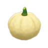 white pumpkin