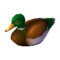 Decoy Duck (Male) NL Model.png
