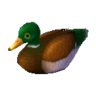 Decoy duck