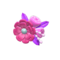 Flashy Hairpin (Pink) NH Icon.png