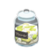Glass Jar (Fruit Syrup - Black Label) NH Icon.png