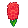 red hyacinths