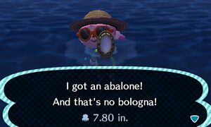 Caught Abalone NL.jpg