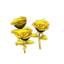 gold-rose plant