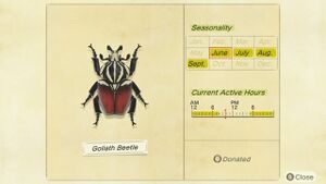NH Critterpedia Goliath Beetle Northern Hemisphere.jpg