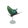 peacock butterfly model