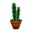 Tall Cactus PG Model.png