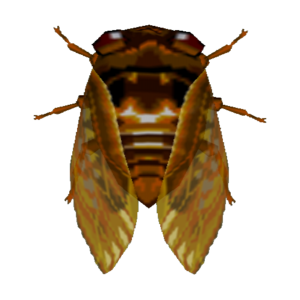 Brown Cicada CF Model.png