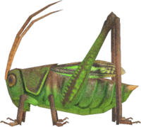 Artwork of Grasshopper