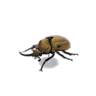 horned elephant model