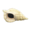 Shell Speaker NH Icon.png