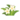 White Prop Flowers PC Icon.png