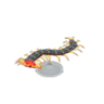 centipede model