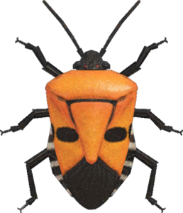 In-game image of man-faced stink bug