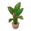 Potted Bird of Paradise PC Icon.png