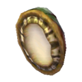 Abalone NL Model.png