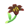 black lilies