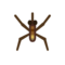 Pondskater NH Icon.png