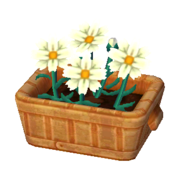 White Cosmos NL Model.png