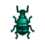 blue weevil beetle