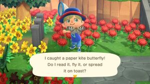 Caught Paper Kite Butterfly NH.jpg