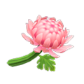 Pink Mums NH Icon.png