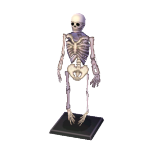 Skeleton NL Model.png