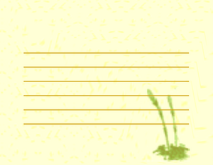 Horsetail Paper PG.png