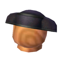Matador's hat