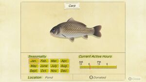 NH Critterpedia Carp.jpg