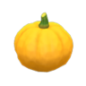 yellow pumpkin