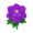Purple Peony PC Icon.png